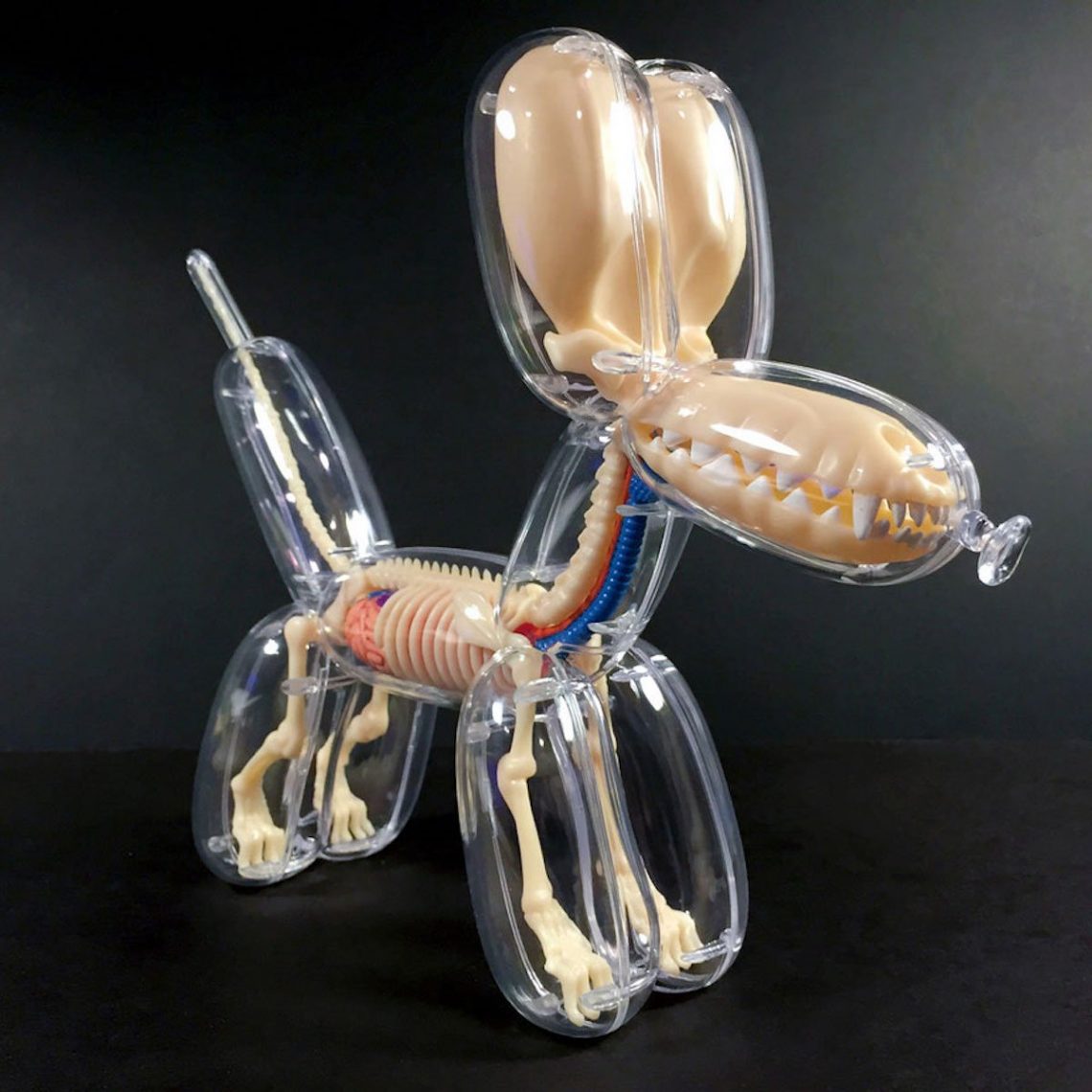 Anatomical-Balloon-Dog Jason Freeny