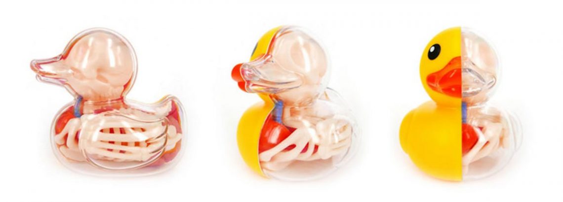 Anatomical-Balloon-Duck