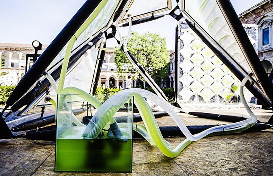Urban Algae Canopy Project Milan EXPO Milano 2015 Algen Energie Strom Sauerstoff Schattenflächen transparent Bedachung