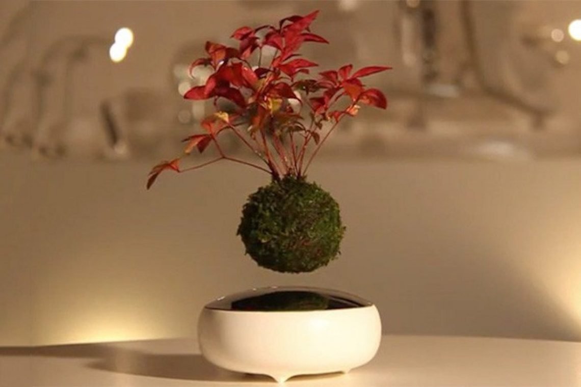 Air Bonsai Schwebender Bonsai Baum Wohnzimmer Topf