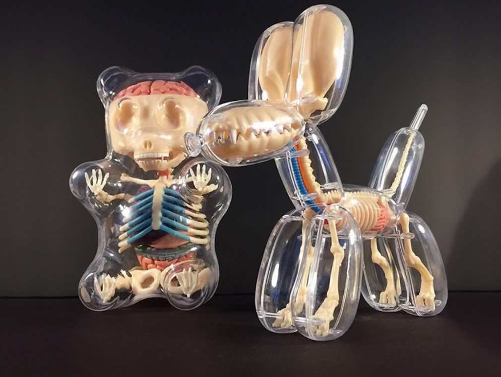 Anatomical Balloon Animals Jason Freeny Luftballontiere Clown Magier Toys Spielzeug Anatomie