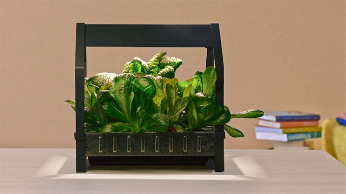 IKEA Krydda Gartenkit Pflanze LED Licht Kasten