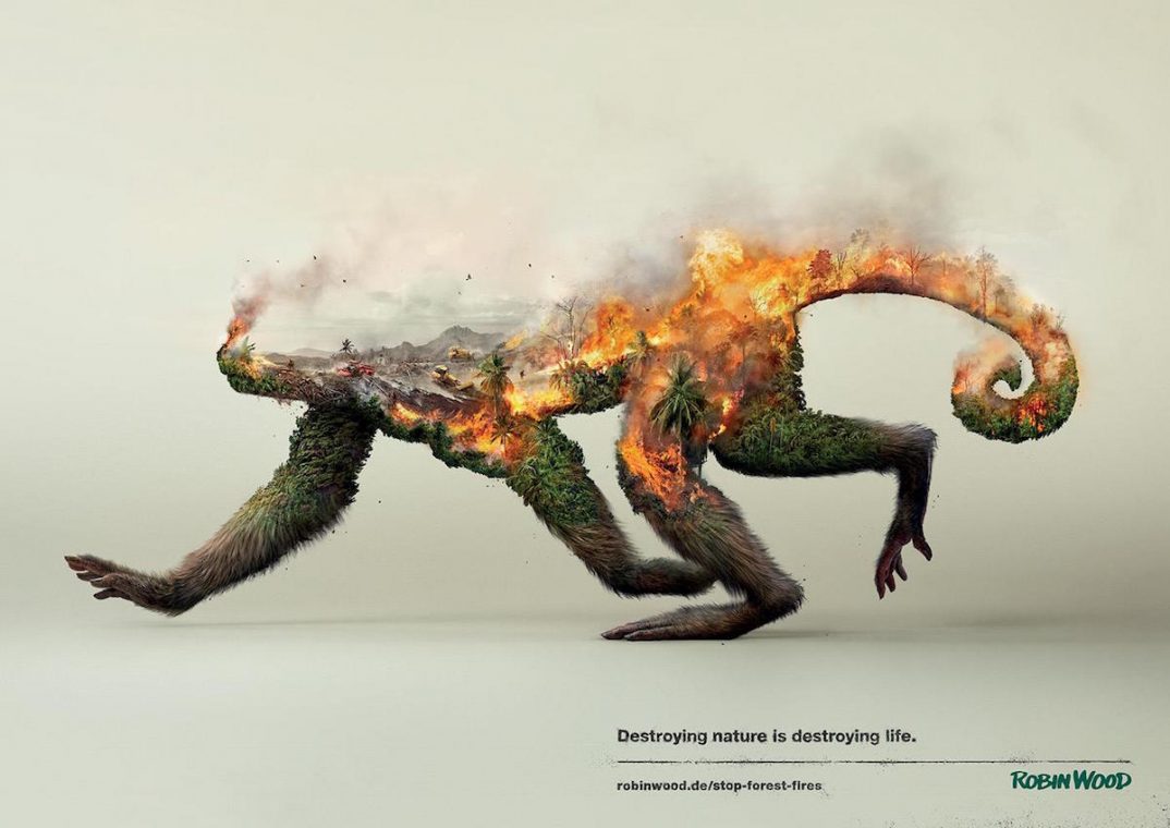 Robin Wood Regenwald Affe Kampagne Poster Naturschutz Waldbrand Destroying nature is destroying life