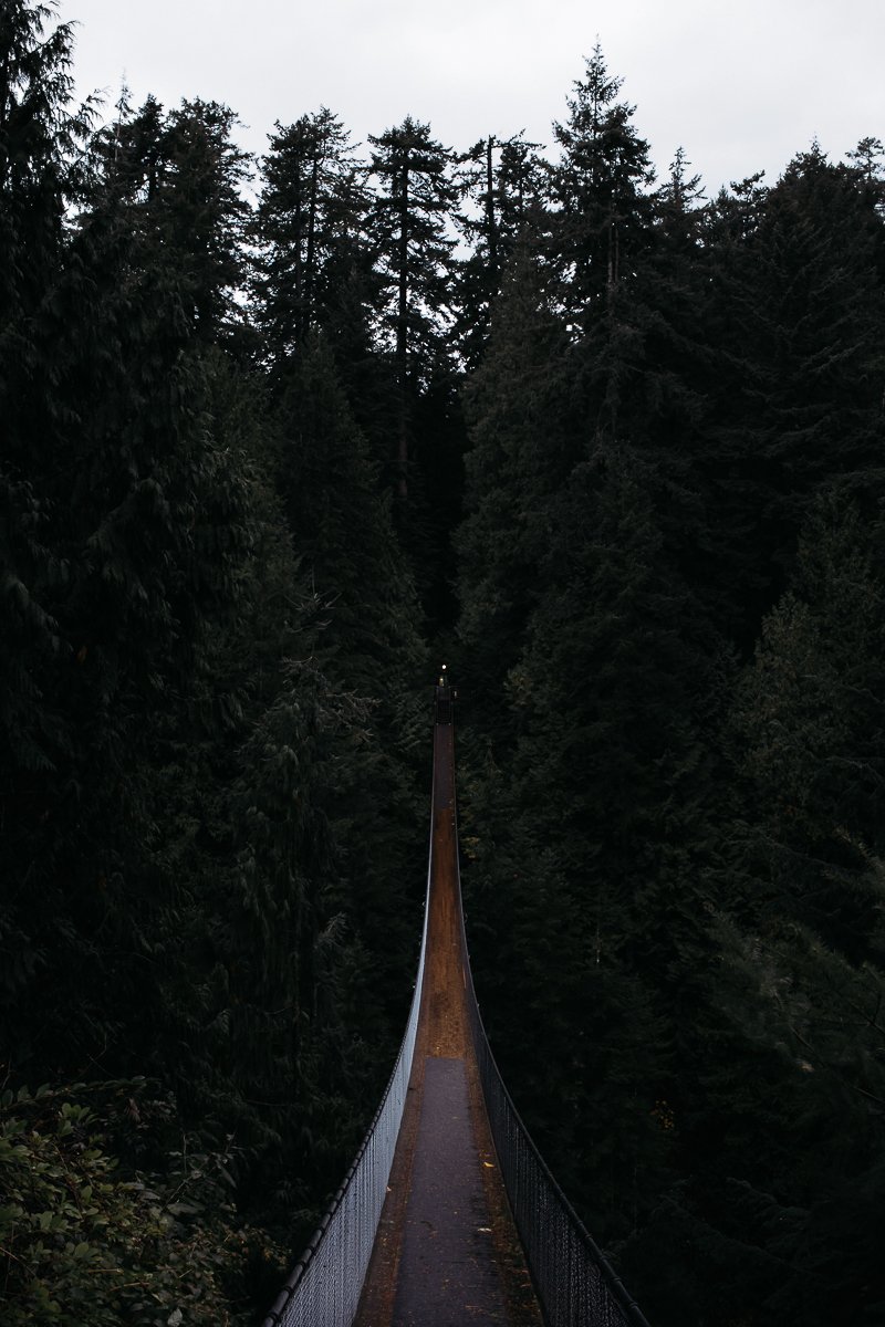 Capilano Suspension Bridge Park Seilbrücke 136 Meter 70 Meter Höhe Wald Thrill Adventure Canyon Capilano River grün Holz Schwingen Vancouver Kanada