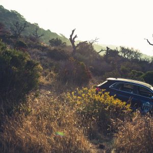 Audi SQ5 offroad in der Natur